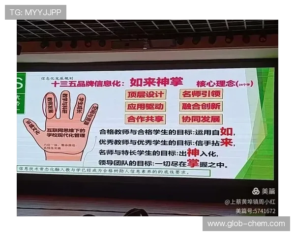 重庆排球队个人能力提升引发热议助力球队新征程