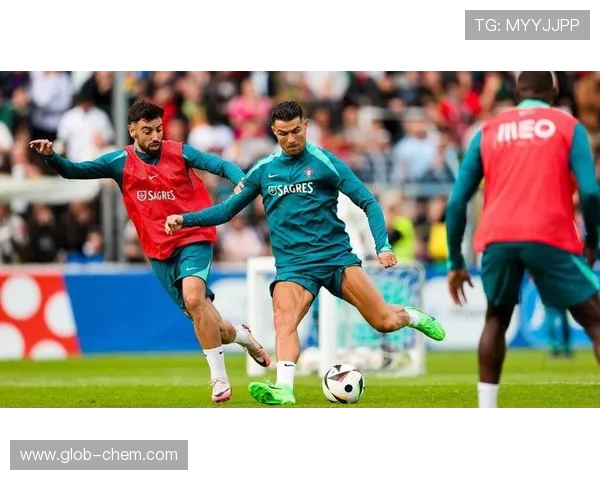 德国对战葡萄牙佩佩表现分析与比赛精彩瞬间回顾