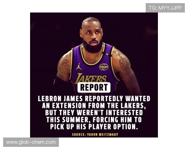 湖人队在总决赛中的辉煌历程与未来展望分析