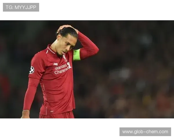 范戴克的足球之路从青涩少年到世界顶级后卫的辉煌历程