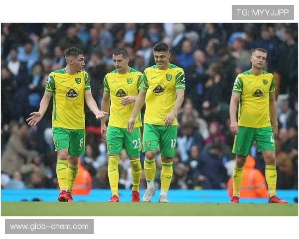 谢菲尔德联与诺维奇的激烈对决展现英冠球队的拼搏精神与战术较量