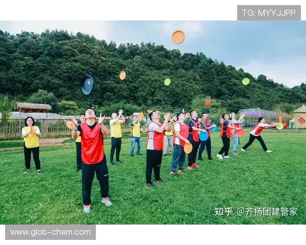 飞盘纪实：南京飞盘队的奋斗与成长之路全景回顾