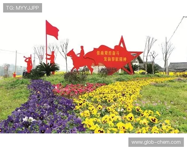 重庆足球队逆袭之路的真实故事与奋斗精神全记录