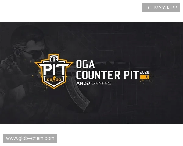 WE战队在CSGO赛场的迅速变革与未来发展探讨