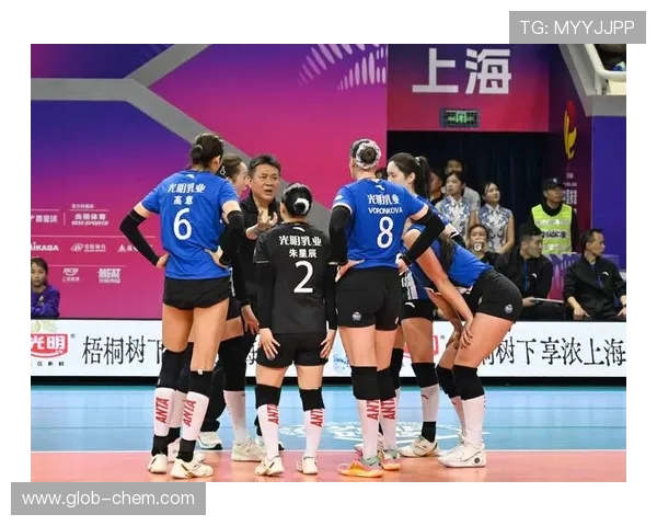 上海排球队在全国排球比赛经验排行榜中荣登第九名展现实力与潜力