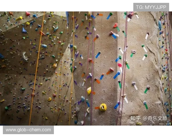 上海攀岩队转型之路的真实记录与成长探索之旅 上海攀岩队转型之路的真实记录与成长探索之旅