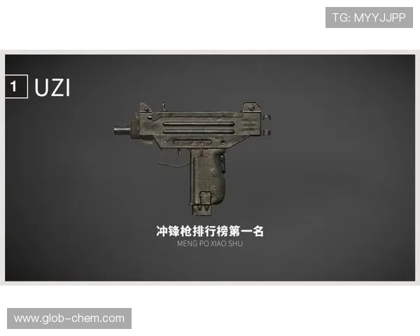 和平精英战术排行榜更新LNG战队荣登第九名引发热议