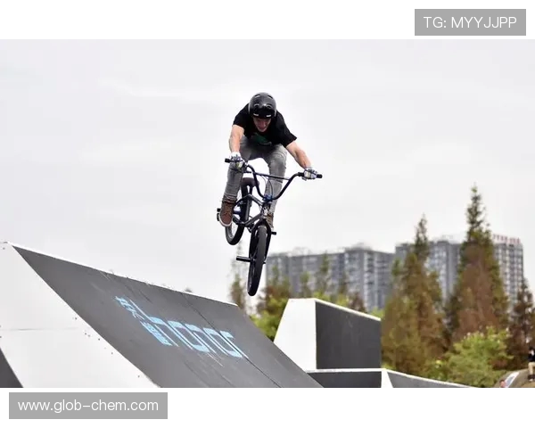 成都极限运动队灵活性表现数据分析与提升策略探讨