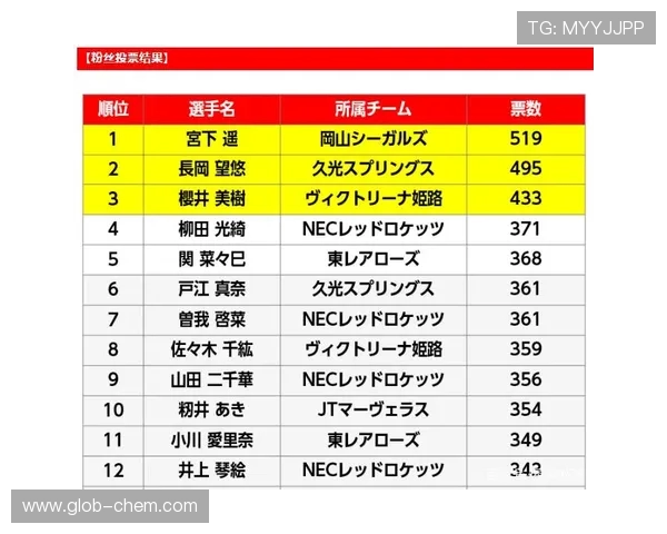 杭州排球队在城市联赛中的实力展现与未来发展潜力分析
