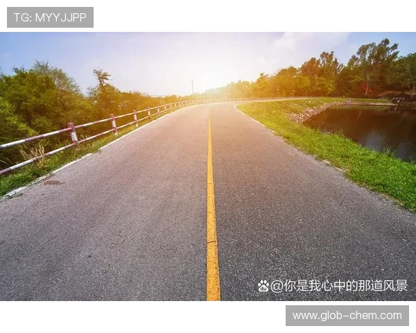 极限运动的成功秘诀刘静分享她的奋斗与激情之路